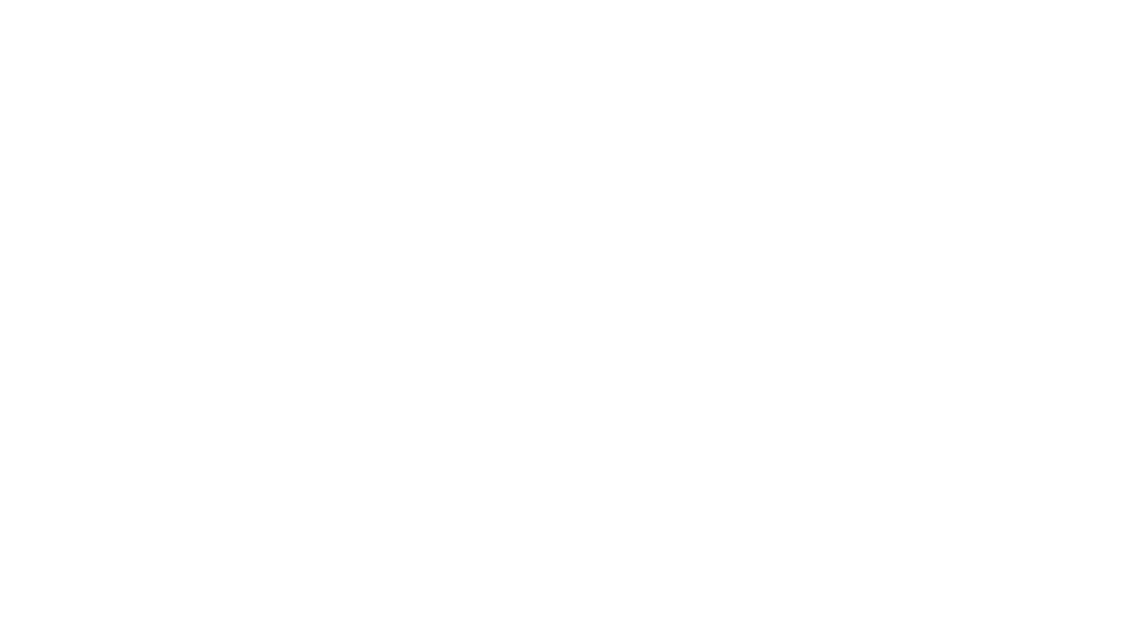 DJ Christy Anne